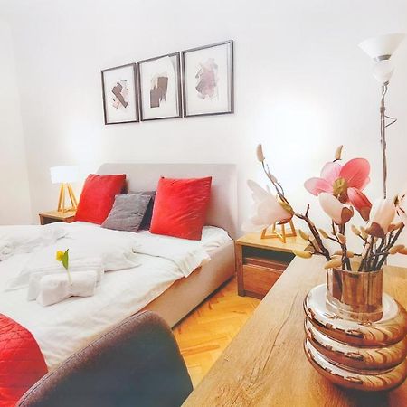 Spacious 5* Luxury In Historic Center Free Parking Cluj-Napoca Extérieur photo